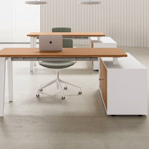 Biurko pracownicze E-Place od DVO Office na białym stelażu A