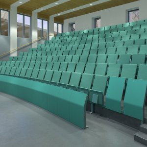 Podłokietniki z nakładką z litego drewna