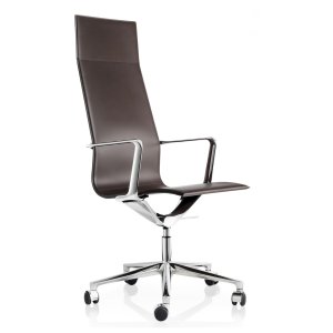 Kuna Chair marki ICF Office w gabinecie