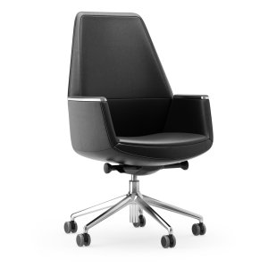 Musa Chair w gabinecie
