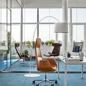 Dwukolorowy Nordic z kontrastowymi skorupami